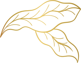 Elegant Metallic Leaves Outline